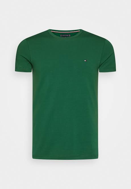 Camiseta tommy verde fashion