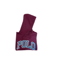 Polo Ralph Lauren Sudadera con capucha Polo - Store In Perú 