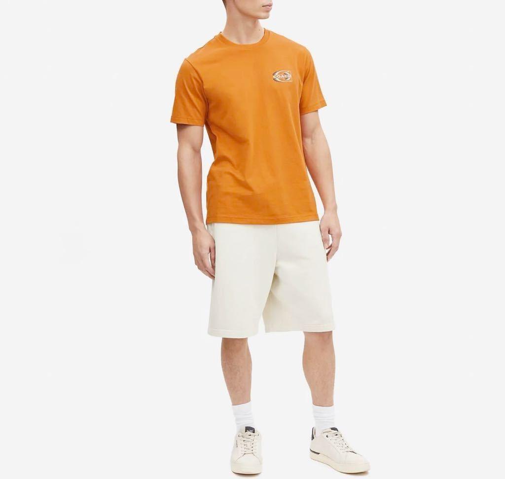 Camiseta Coach Signature Gradient